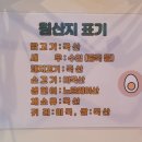 샐로 네이버블로그
