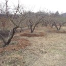 성실농원 이미지