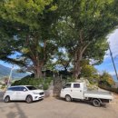 산따라 물따라 코스 이미지