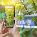 스마트 행정사 사무소 이미지