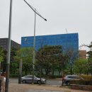한국수 여의도점