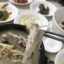유정가든 | 구례 유정가든 삼계탕 후기