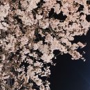 응암식당 이미지