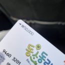 [12월 일상] 근데 이제 GTQ 1급. 노베이스 7일 독학 후기를 곁들인. 야 너도 할 수 있어~