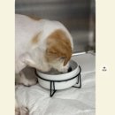 24시센트럴동물메디컬센터 이미지