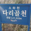 다리골천 이미지