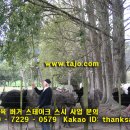 한국웰빙건강 이미지