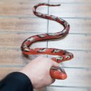 대전할인마트 이미지