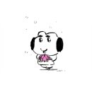 아침햇살의미소 이미지