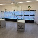 미유펫 강아지분양 고양이분양 전주점 이미지