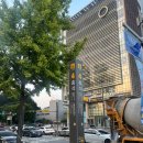 웰니스랩 | [동작 다이어트] 누워서 하는 다이어트 흑석 다이어트 셀포랩 웰니스 체험 후기