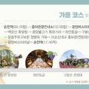 감성시티투어 이미지