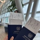 AA10-1(LH) | 포르투칼 리스본 루프트한자 이코노미 경유 후기 LH719항공