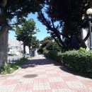 강정동-12 이미지