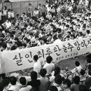 수원-1987 이미지