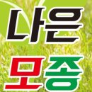 밀양루(RO) 네이버블로그