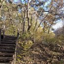 포레스트 월악 | 월악산 속 깊은 숲에서 힐링한 충주애견동반펜션 포레스트월악 후기