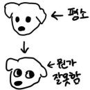 토부덮밥