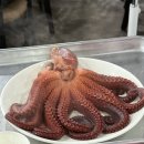 하나로횟집 이미지