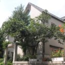 분당동 소로2 이미지