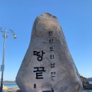 원네스트
