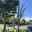 💛 제주도립미술관에 다녀왔어요:) 이미지