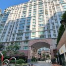 파인트리 동물병원 이미지