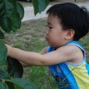 주환농장 이미지