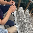 탑동오락실 이미지