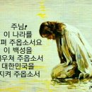 삼화비젼 이미지