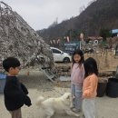 비비탄소양사격장