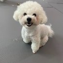 개인의 공간, 쉼 이미지