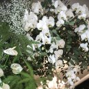 아바니센트럴 부산 이미지