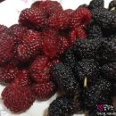 옥계(속초방향) 휴게소 이미지