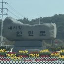 쏠미라벨 | [충청남도 태안 / 안면도] 쏠미라벨펜션 로즈마리 후기