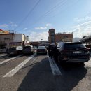 오리와 쭈꾸미 | 안산 현지인 추천 꽃우물오리 매콤한 쭈꾸미오리볶음 화정동 맛집 재방문 후기