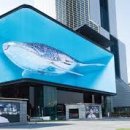 예술로 코딩 이미지