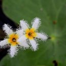 국화저수지 이미지