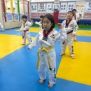 원주태권도 이미지