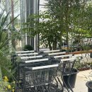 [아난플랜트] 일산 꽃집, 식물 매장에서 힐링🌿
