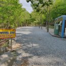 금산 자연 오토캠핑장 이미지