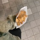 혜화동 돈까스극장 청주용암점 | 우리의 낭만은 하나 뿐인 꽃말이 될 거야.