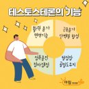 보충한의원 이미지