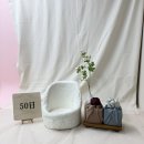 50 | 애니스튜디오 도봉점 아기 50일촬영 후기 [내돈내산]