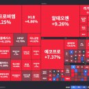 대주여행사 이미지