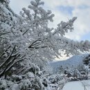 세레노펜션 이미지