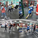 해운대 강남복싱클럽 이미지