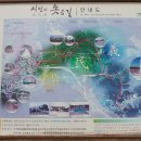 시민의 솟음길 이미지