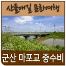 탑천 | 군산 마포교 중수비