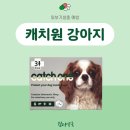 쉼터약국 이미지